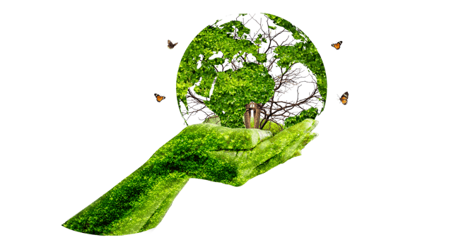 globe in hand Isolate on transparent background PNG file