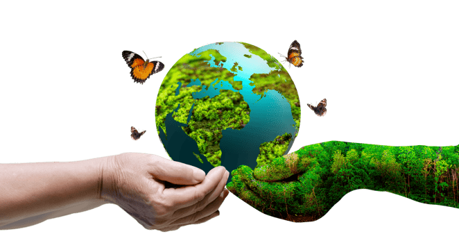 human hand holding a globe Isolate on transparent background PNG file