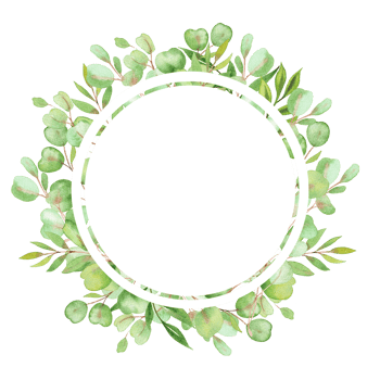 watercolor illustration frame with leaves and greenery of eucalyptus png