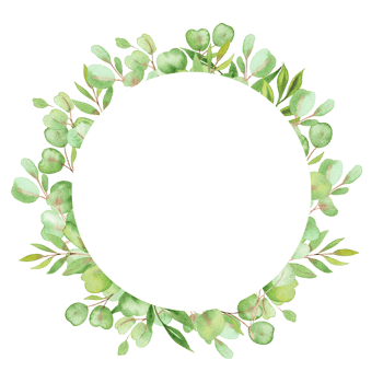 watercolor illustration frame with leaves and greenery of eucalyptus png