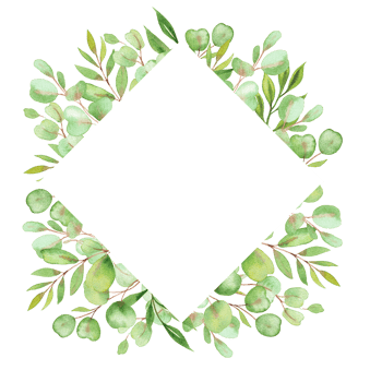 watercolor illustration frame with leaves and greenery of eucalyptus png