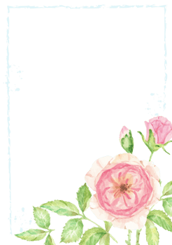 watercolor pink rose flower branch bouquet frame png