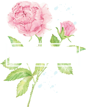 watercolor pink rose flower branch bouquet frame png