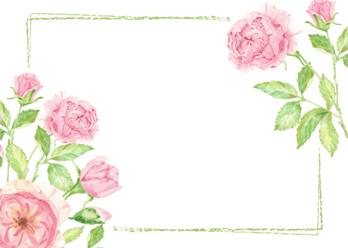 watercolor pink rose flower branch bouquet frame png