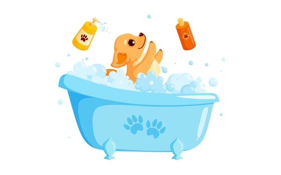 Dog grooming in a bath with pet shampoo. Playful chihuahua puppy in grooming service. Vector illustration