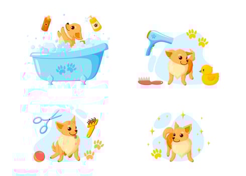 Dog grooming in a bath with pet shampoo, combs and rubber ducks. Playful chihuahua puppy in grooming service. Vector illustration