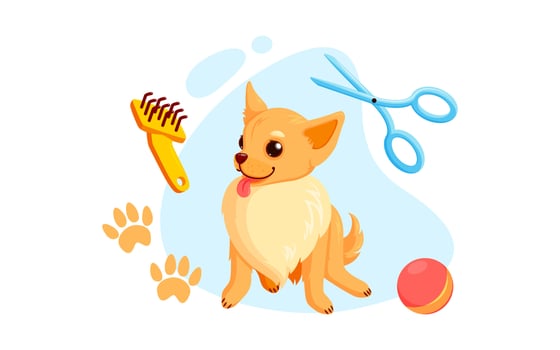 Dog grooming with haircut scissors and combs. Playful chihuahua puppy in grooming service. Vector illustration