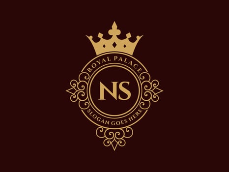 Letter NS Antique royal luxury victorian logo with ornamental frame. vector