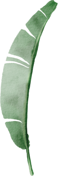 cutout banana leaf simplicity watercolor painting. png
