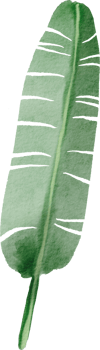 cutout banana leaf simplicity watercolor painting. png