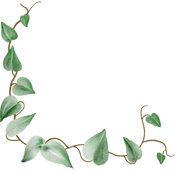 ivy plant watercolor simplicity painting. png