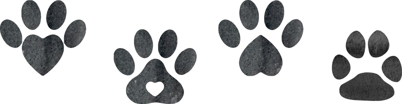 Set of isolated black watercolor animal footprints. Watercolor pets footprint. Paw footprint illustration vector