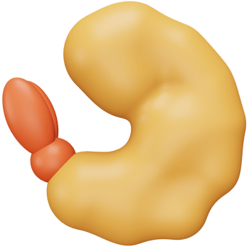 Fried shrimp 3d rendering isometric icon. png