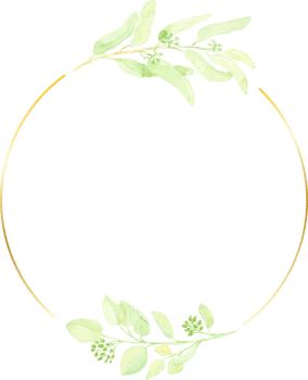 watercolor hand drawn seeded eucalyptus leaf with golden minimal frame png