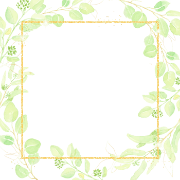 watercolor hand drawn seeded eucalyptus leaf with gold glitter frame square banner background png