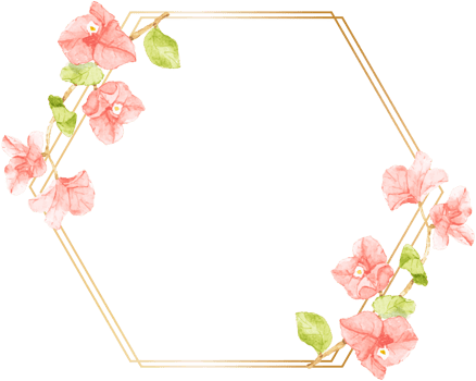 watercolor pink Bougainvillea flower bouquet with golden wreath frame with copy space png