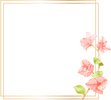 watercolor pink Bougainvillea flower bouquet with golden wreath frame with copy space png