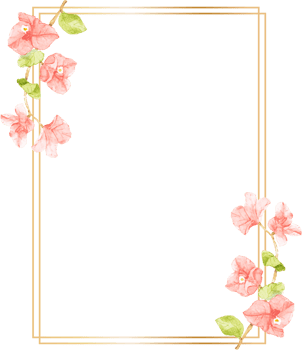 watercolor pink Bougainvillea flower bouquet with golden wreath frame with copy space png