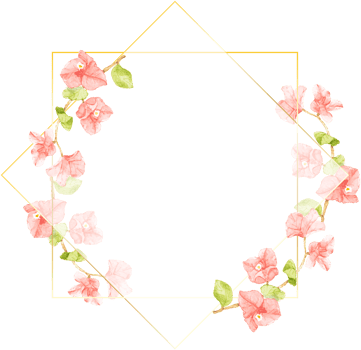 watercolor pink Bougainvillea with golden wreath frame with copy space png