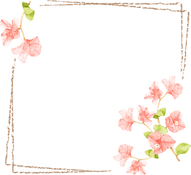 watercolor minimal Bougainvillea flower wreath frame png