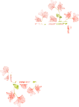 watercolor pink Bougainvillea flower bouquet for banner png