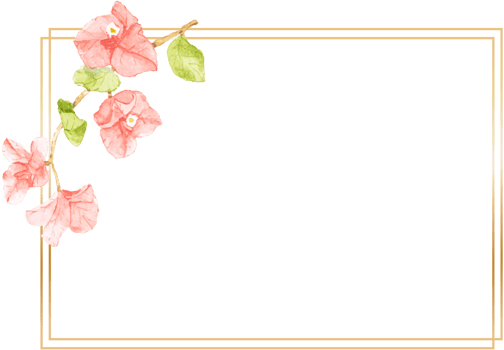 watercolor pink Bougainvillea flower bouquet with golden wreath frame with copy space png