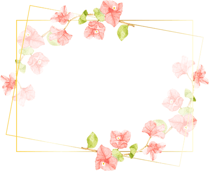 watercolor pink Bougainvillea with golden wreath frame with copy space png
