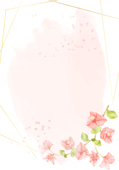 watercolor pink Bougainvillea with golden frame for wedding or birthday invitation card png