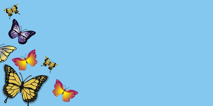 Colored butterflies fly around on a colored paper background. vector