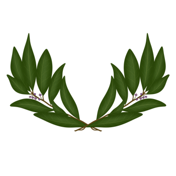 laurel bay leaves, herb png