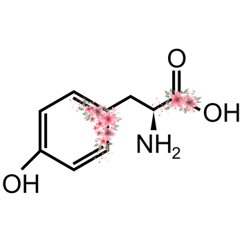 Aesthetic Chemistry Art png