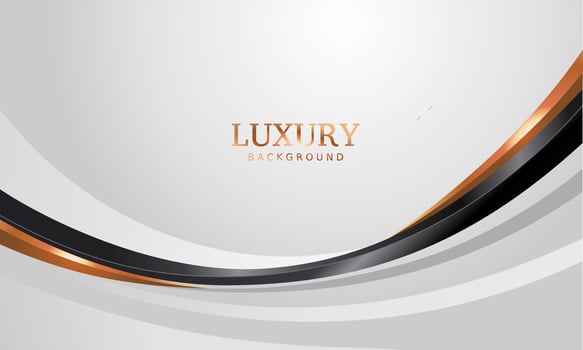 white luxury premium background and gold line. vector
