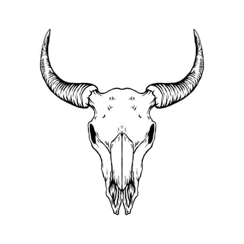 Bull skull vector art