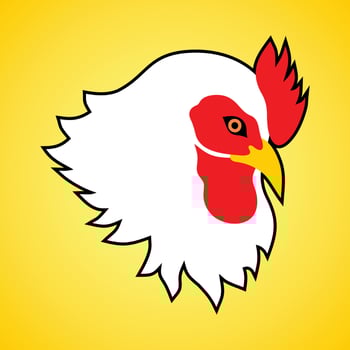 White hen' head on yellow background vector