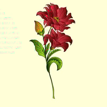 Red Lily Flat Vector. Lily branch and leaves Floral postcard. Wedding elements isolated background cartoon illustration. vector