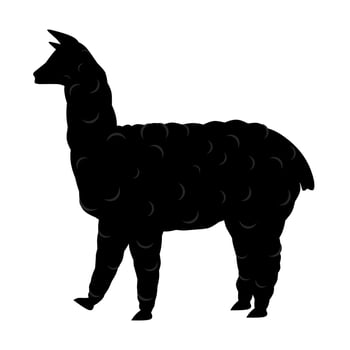 Vector illustration of an alpaca llama on a white background. Great for furry animal logos