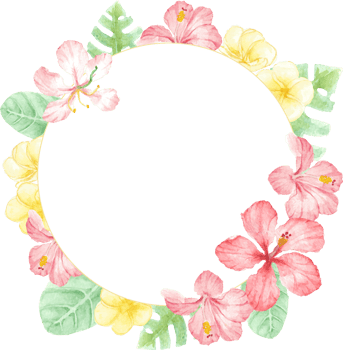watercolor red summer tropical flower hibiscus and plumeria wreath frame png
