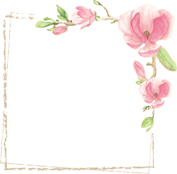 watercolor pink magnolia minimal square frame for banner or logo png