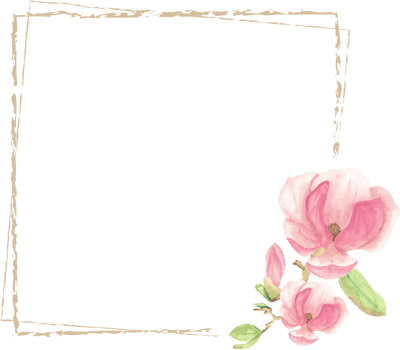 watercolor pink magnolia minimal square frame for banner or logo png