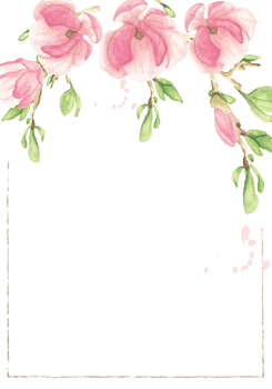 blooming magnolia flower branch frame png