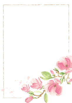 blooming magnolia flower branch frame png
