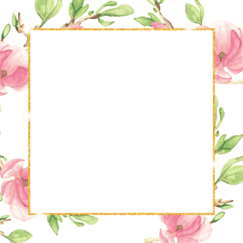 watercolor pink magnolia branch bouquet with gold glitter square frame  for banner or logo png
