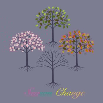 Vector of four seasonal trees, graphic drawing of Spring Summer Autumn Winter on grey background with Season Change texts
