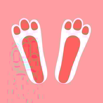 Pink easter bunny trail on pink background. Front and back paws vector, great for logos, greeting cards, kids cards, cute. vector
