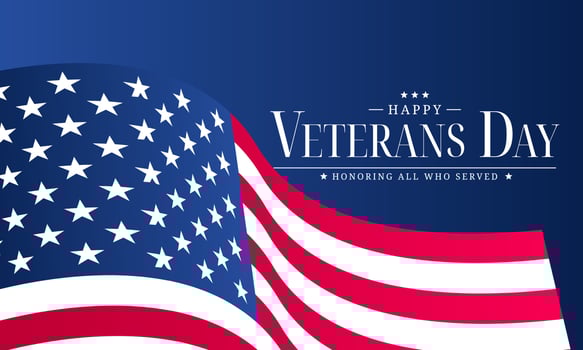 Veterans Day, American national holiday vector
