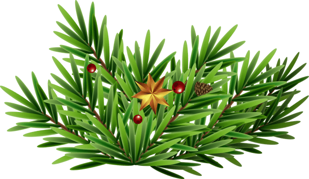 Green Christmas Fir Branch png
