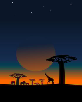 Vector sunset in the African Jungle.