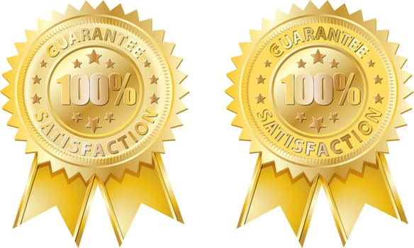 guarantee satisfaction 100 percent in gold and emboss design vector