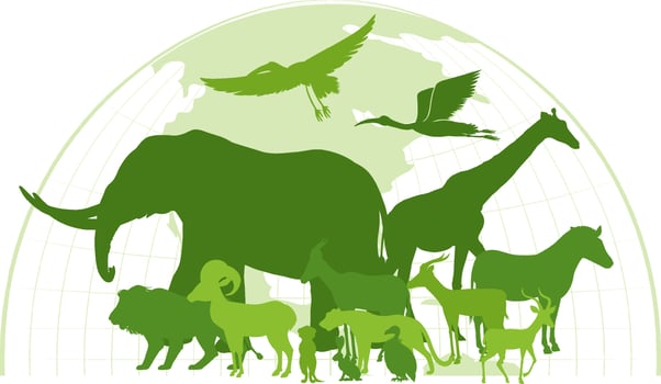 Green silhouette of wild animals vector