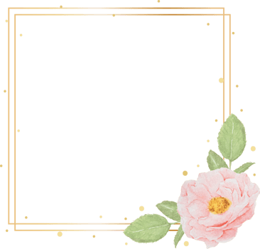 beautiful pink watercolor english roses with golden frame png